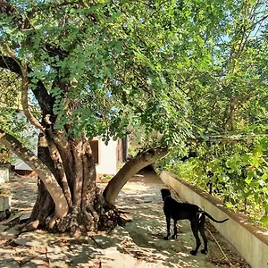  Bed & Breakfast Narboni Mannu
